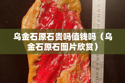 烏金石原石貴嗎值錢(qián)嗎（烏金石原石圖片欣賞）
