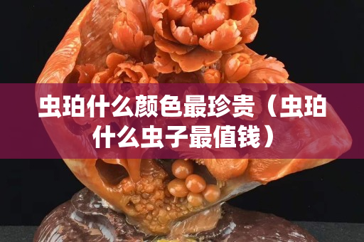 蟲珀什么顏色最珍貴（蟲珀什么蟲子最值錢）