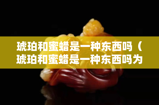 琥珀和蜜蠟是一種東西嗎（琥珀和蜜蠟是一種東西嗎為什么）