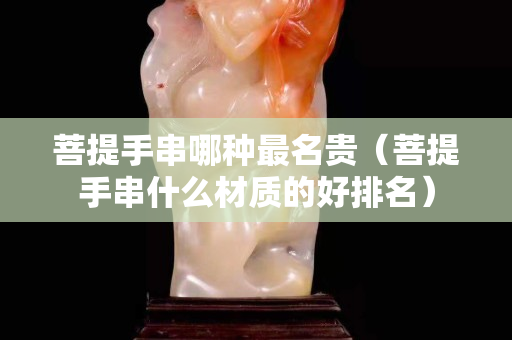 菩提手串哪種最名貴（菩提手串什么材質的好排名）