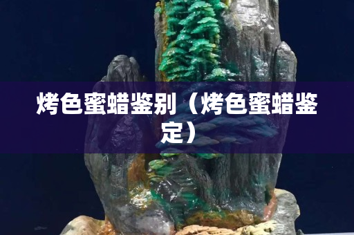 烤色蜜蠟鑒別（烤色蜜蠟鑒定）