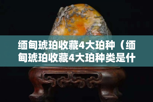 緬甸琥珀收藏4大珀種（緬甸琥珀收藏4大珀種類是什么）