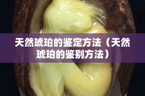 天然琥珀的鑒定方法（天然琥珀的鑒別方法）