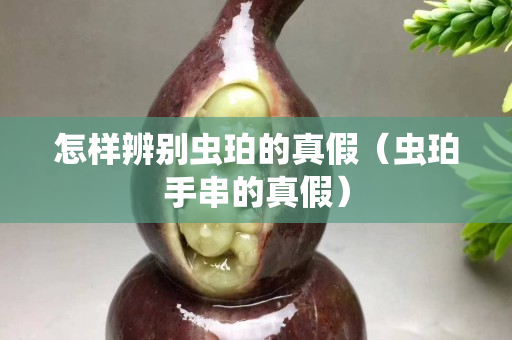 怎樣辨別蟲珀的真假（蟲珀手串的真假）