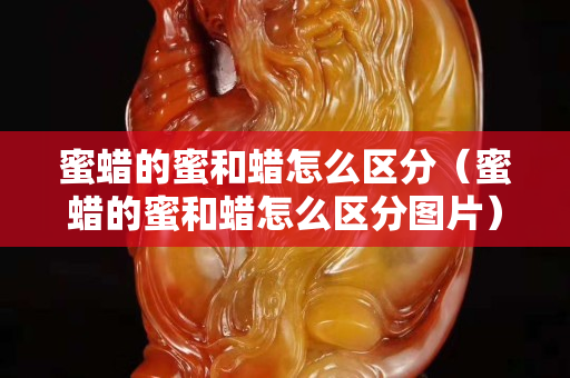 蜜蠟的蜜和蠟怎么區分（蜜蠟的蜜和蠟怎么區分圖片）