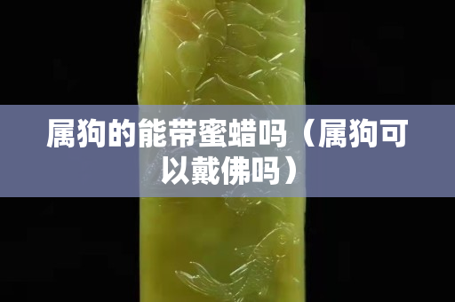 屬狗的能帶蜜蠟嗎（屬狗可以戴佛嗎）