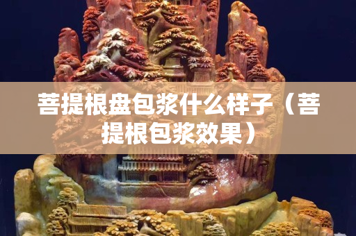 菩提根盤包漿什么樣子（菩提根包漿效果）