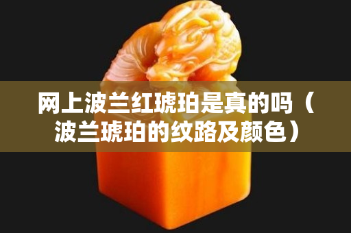 網上波蘭紅琥珀是真的嗎（波蘭琥珀的紋路及顏色）
