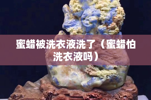 蜜蠟被洗衣液洗了（蜜蠟怕洗衣液嗎）