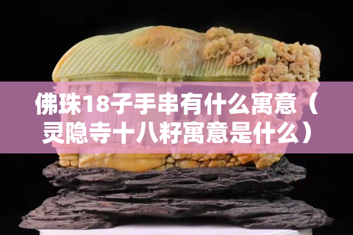 佛珠18子手串有什么寓意（靈隱寺十八籽寓意是什么）