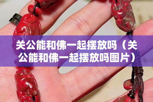 關公能和佛一起擺放嗎（關公能和佛一起擺放嗎圖片）