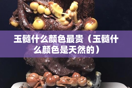 玉髓什么顏色最貴（玉髓什么顏色是天然的）