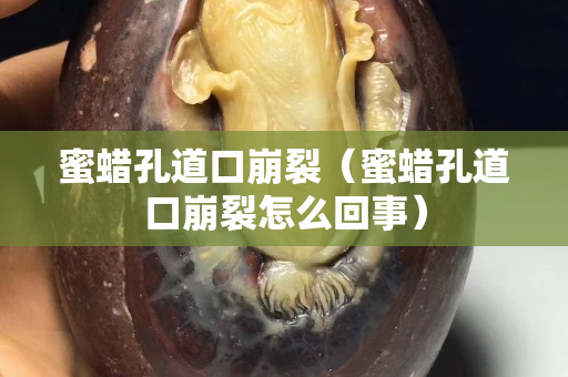 蜜蠟孔道口崩裂（蜜蠟孔道口崩裂怎么回事）