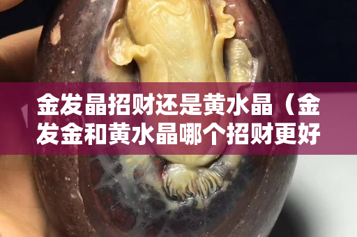 金發晶招財還是黃水晶（金發金和黃水晶哪個招財更好）