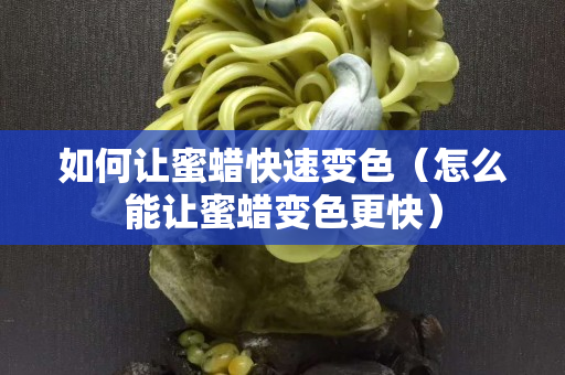 如何讓蜜蠟快速變色（怎么能讓蜜蠟變色更快）