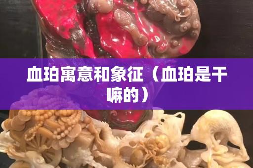 血珀寓意和象征（血珀是干嘛的）