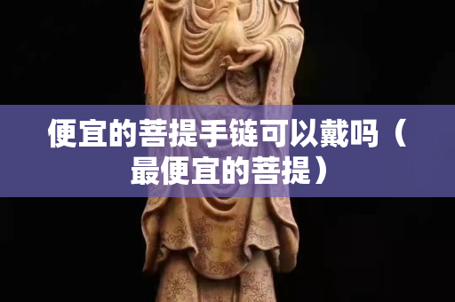 便宜的菩提手鏈可以戴嗎（最便宜的菩提）