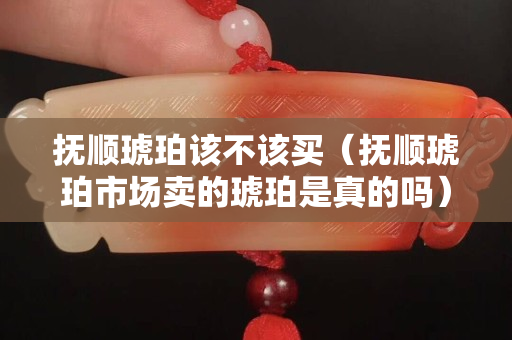 撫順琥珀該不該買（撫順琥珀市場賣的琥珀是真的嗎）