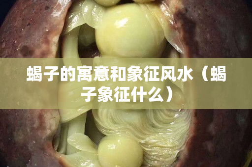 蝎子的寓意和象征風水（蝎子象征什么）