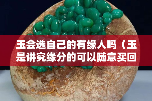 玉會選自己的有緣人嗎（玉是講究緣分的可以隨意買回來帶嗎）