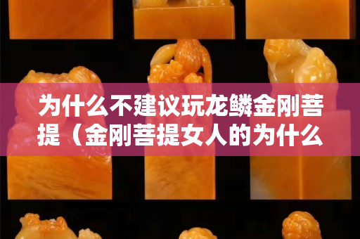 為什么不建議玩龍鱗金剛菩提（金剛菩提女人的為什么不能碰）