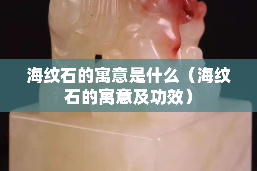 海紋石的寓意是什么（海紋石的寓意及功效）