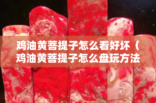 雞油黃菩提子怎么看好壞（雞油黃菩提子怎么盤玩方法）