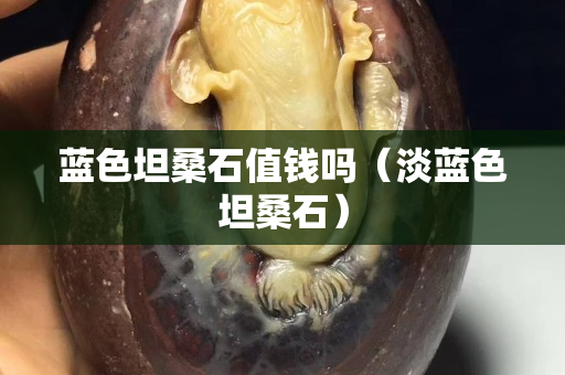 藍色坦桑石值錢嗎（淡藍色坦桑石）