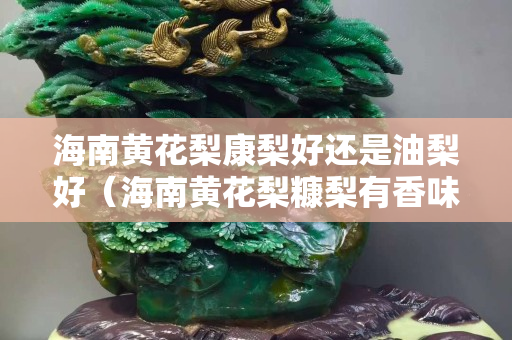 海南黃花梨康梨好還是油梨好（海南黃花梨糠梨有香味嗎）