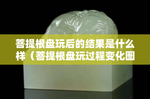 菩提根盤玩后的結果是什么樣（菩提根盤玩過程變化圖）