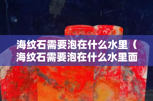 海紋石需要泡在什么水里（海紋石需要泡在什么水里面）