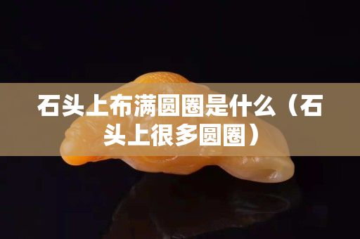 石頭上布滿圓圈是什么（石頭上很多圓圈）