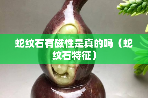 蛇紋石有磁性是真的嗎（蛇紋石特征）