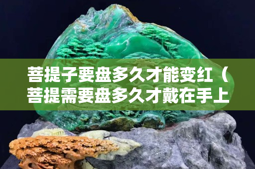 菩提子要盤(pán)多久才能變紅（菩提需要盤(pán)多久才戴在手上）