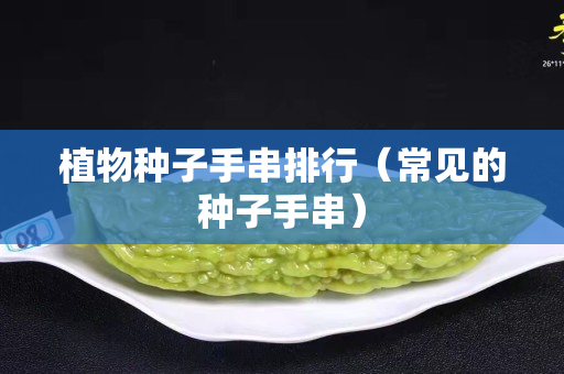 植物種子手串排行（常見的種子手串）