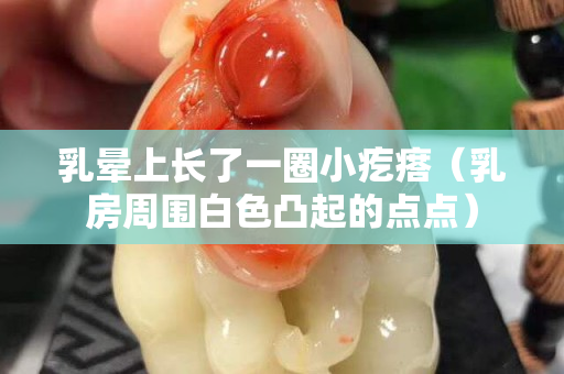 乳暈上長了一圈小疙瘩（乳房周圍白色凸起的點點）