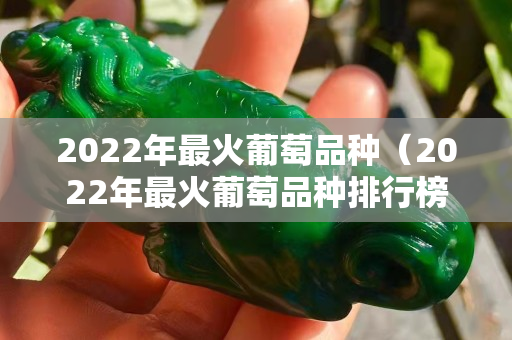 2022年最火葡萄品種（2022年最火葡萄品種排行榜）