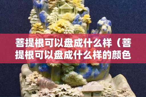 菩提根可以盤成什么樣（菩提根可以盤成什么樣的顏色）