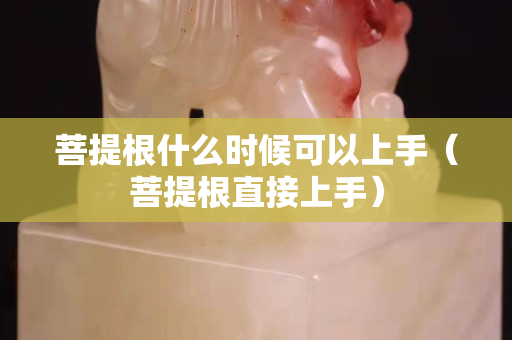 菩提根什么時候可以上手（菩提根直接上手）