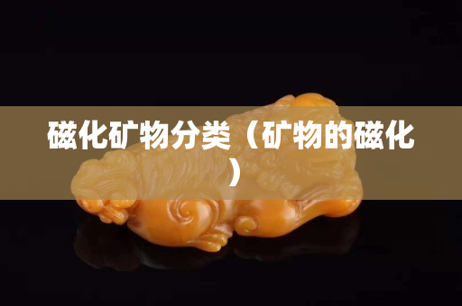 磁化礦物分類（礦物的磁化）