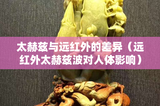 太赫茲與遠紅外的差異（遠紅外太赫茲波對人體影響）