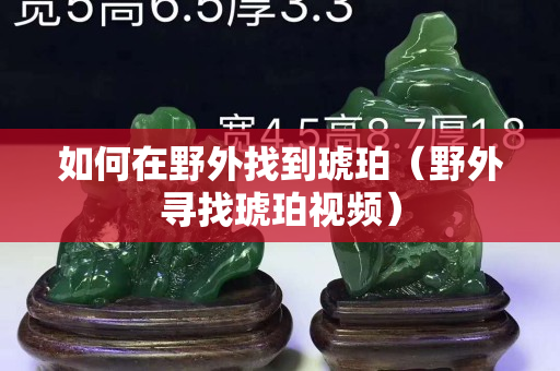 如何在野外找到琥珀（野外尋找琥珀視頻）