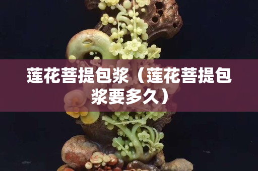 蓮花菩提包漿（蓮花菩提包漿要多久）