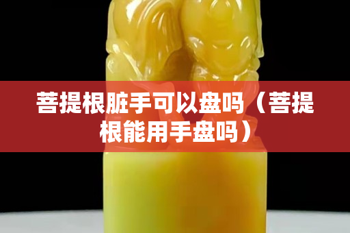 菩提根臟手可以盤嗎（菩提根能用手盤嗎）