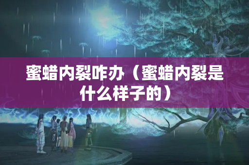 蜜蠟內裂咋辦（蜜蠟內裂是什么樣子的）
