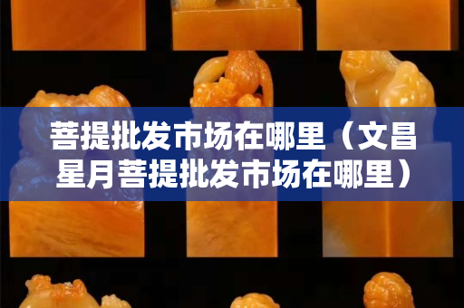 菩提批發(fā)市場(chǎng)在哪里（文昌星月菩提批發(fā)市場(chǎng)在哪里）