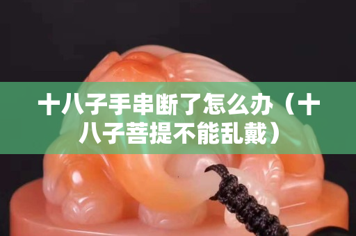 十八子手串?dāng)嗔嗽趺崔k（十八子菩提不能亂戴）