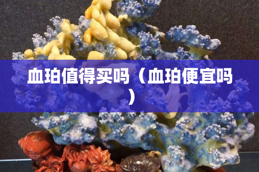 血珀值得買嗎（血珀便宜嗎）