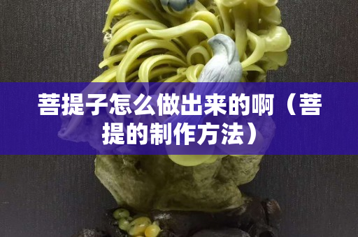 菩提子怎么做出來的啊（菩提的制作方法）