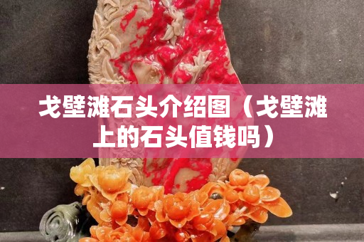 戈壁灘石頭介紹圖（戈壁灘上的石頭值錢嗎）